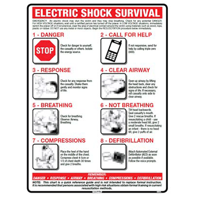 Sign, 450 x 300mm, Alucabond – Electric Shock Survival c/w Overlaminate