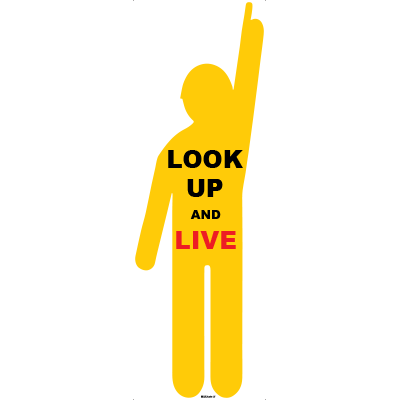 Sign, 1800 x 600mm, Corflute – Look Up and Live