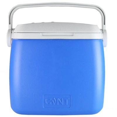 Insulated Cooler With Carry Handle 2 CW