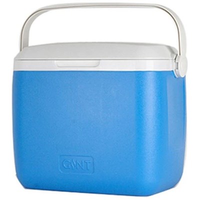 Insulated Cooler With Carry Handle 3 CW