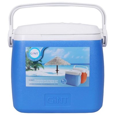 Insulated Cooler with Carry Handle